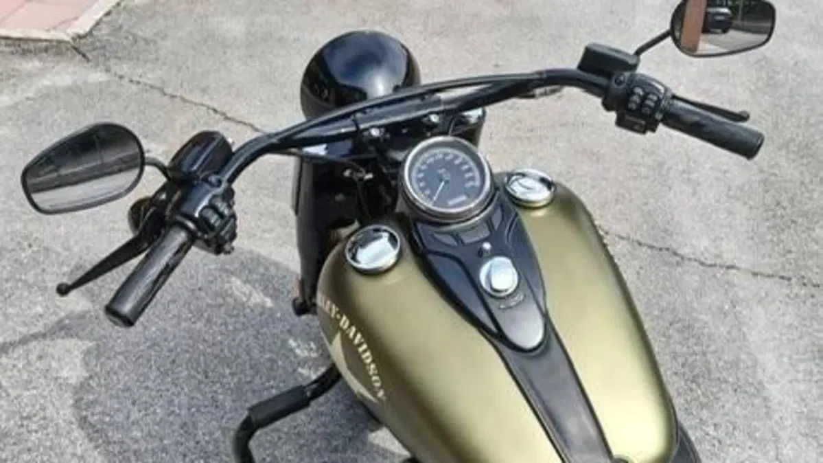 Harley-Davidson 1800 Slim S (2015 - 17) - FLS  (6)