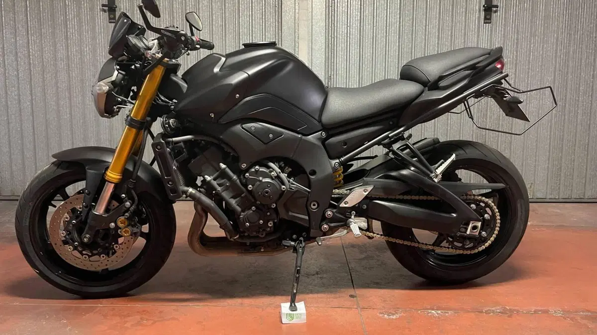 Yamaha FZ8 (2010 - 12)  (2)