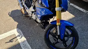 Bmw G 310 R (2016 - 20)  (4)