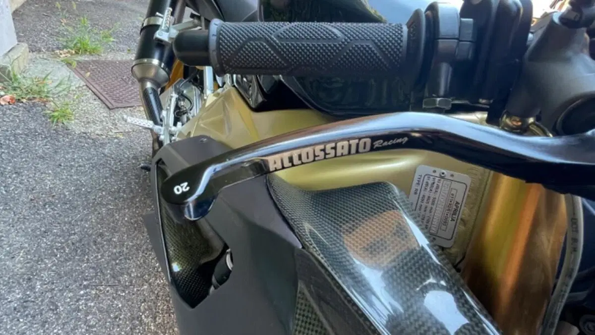 Aprilia RSV 1000 R Factory (2006 - 09)  (7)