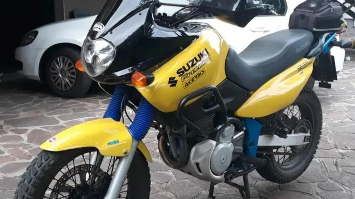 Suzuki XF 650 Freewind (1997 - 03)  (3)