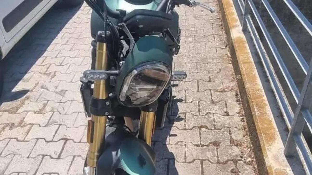 Benelli Leoncino 800 (2022 - 26)  (4)
