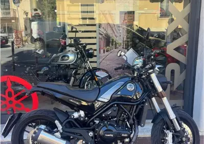 Benelli Leoncino 500 (2021 - 25) - Annuncio 10057428