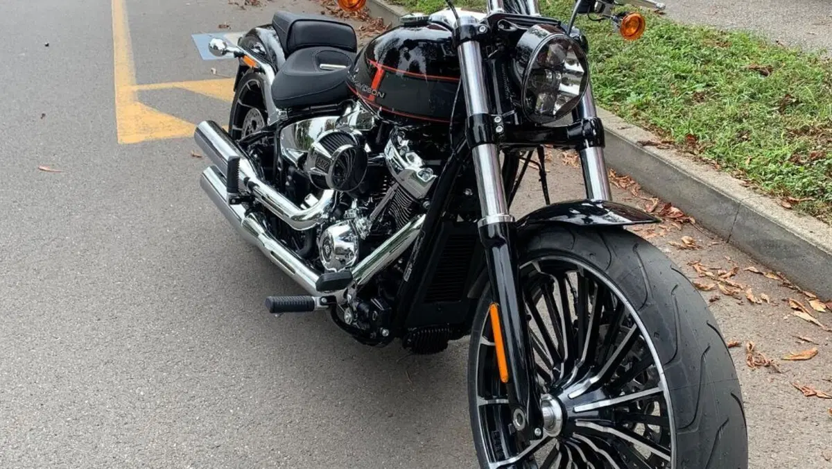 Harley-Davidson Softail Standard (2020) - FXST 