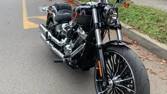 Harley-Davidson Softail Standard (2020) - FXST usata