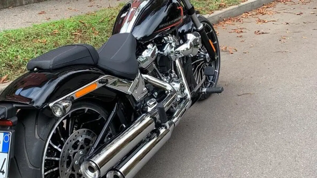 Harley-Davidson Softail Standard (2020) - FXST  (2)