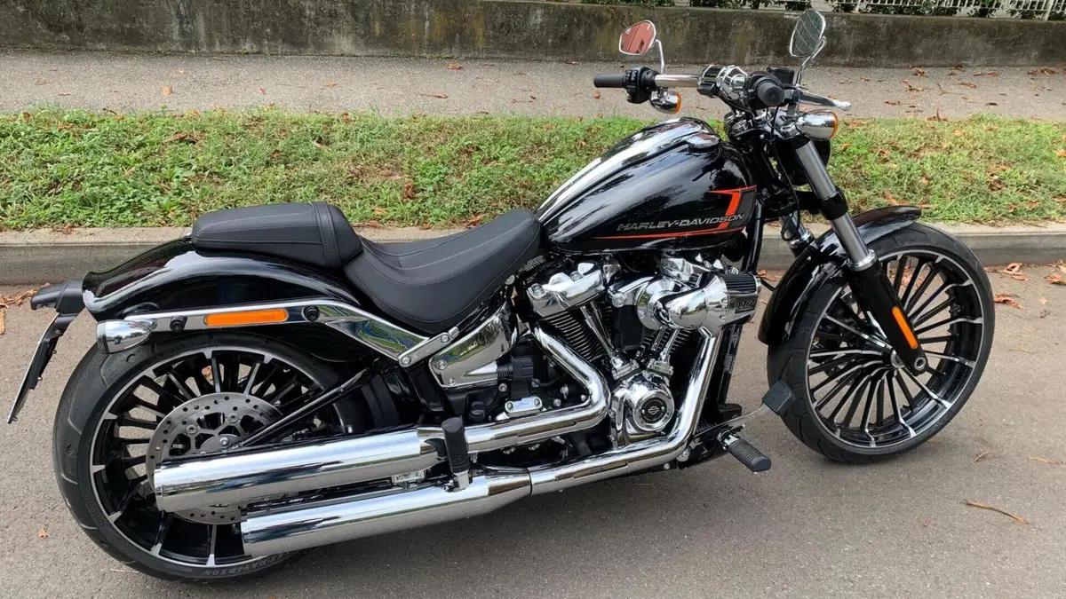 Harley-Davidson Softail Standard (2020) - FXST  (3)