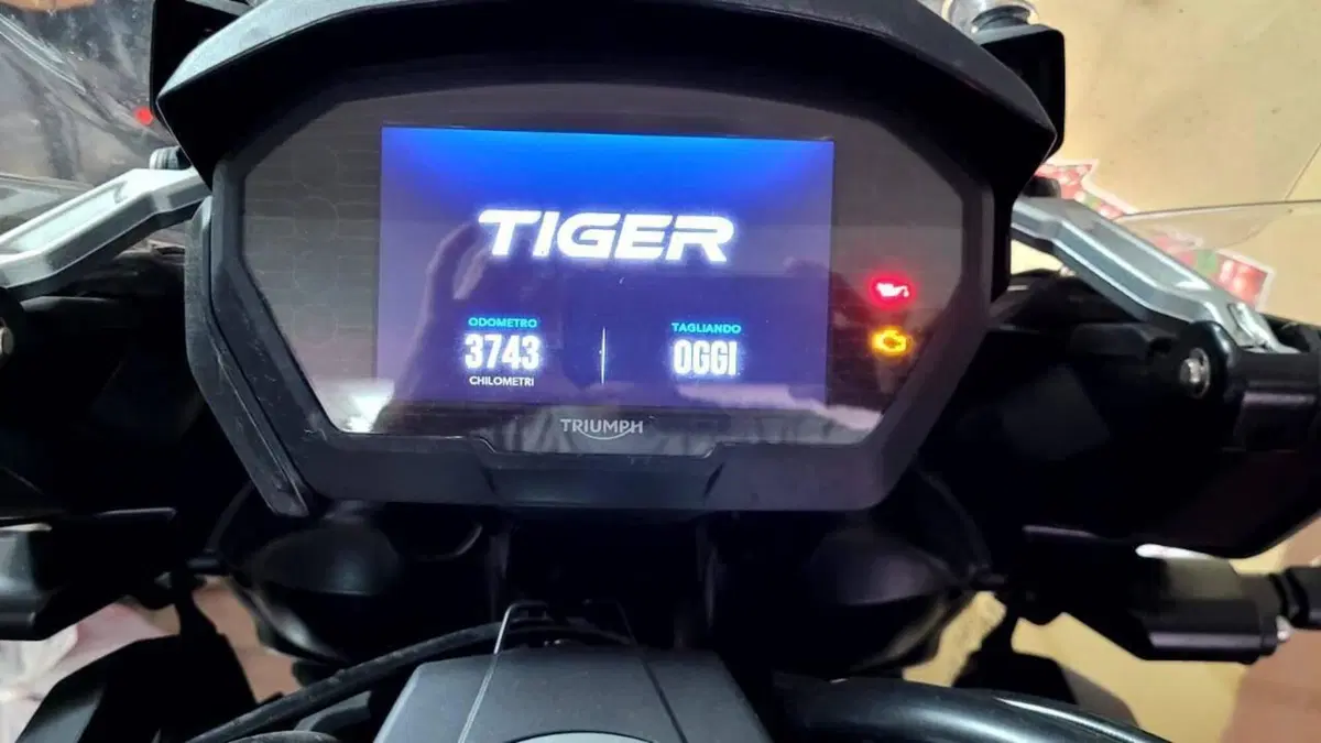 Triumph Tiger 1200 Desert Edition (2020)  (6)