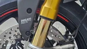 Ducati Monster 1200 S (2017 - 21)  (9)