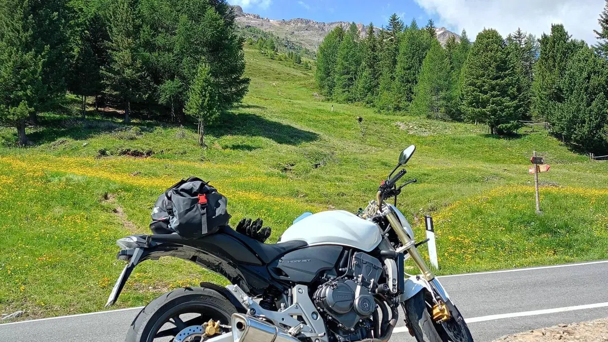 Honda Hornet 600 (2007 - 10)  (2)
