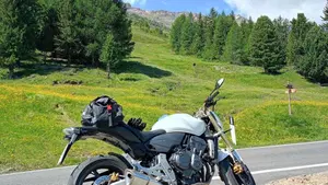 Honda Hornet 600 (2007 - 10)  (2)