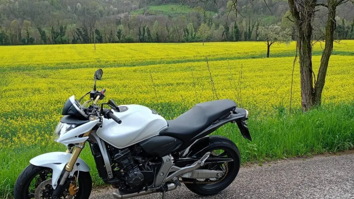 Honda Hornet 600 (2007 - 10)  (3)