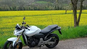 Honda Hornet 600 (2007 - 10)  (3)