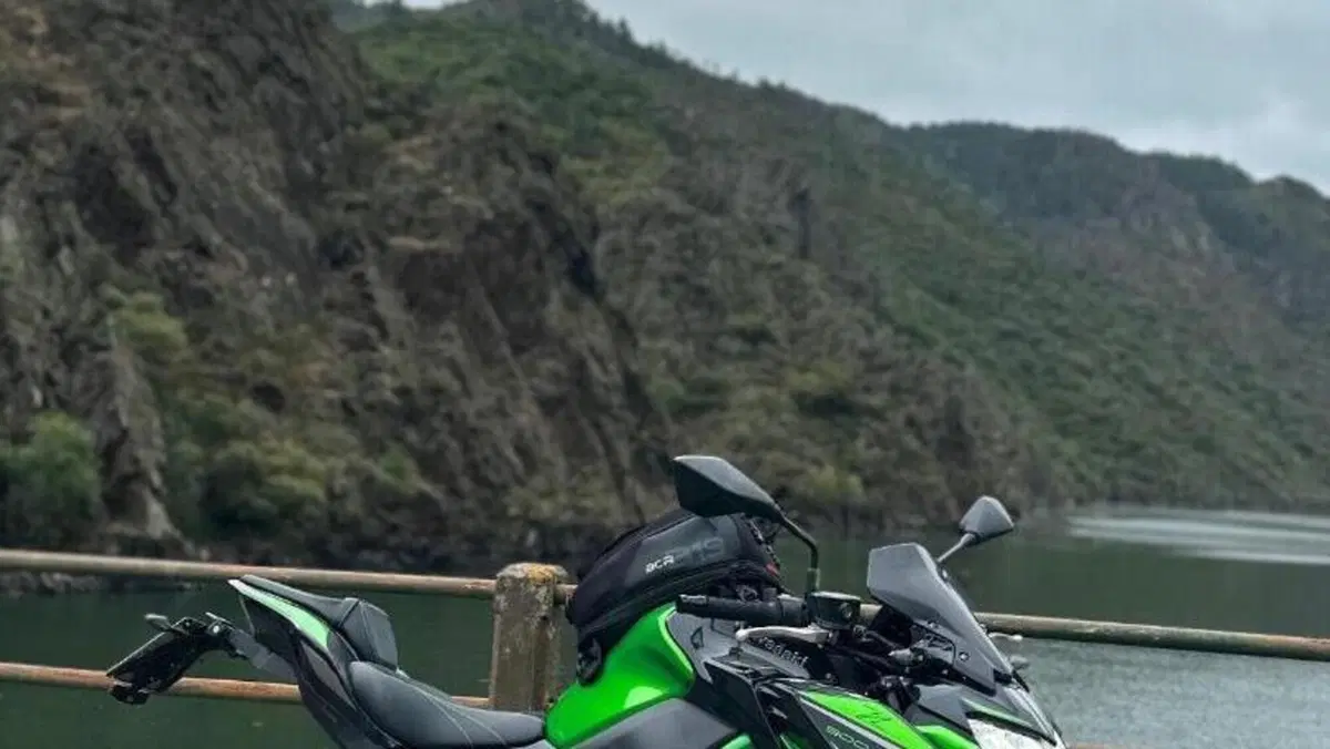 Kawasaki Z 900 A2 Performance (2021 - 24) 
