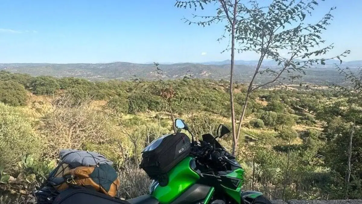 Kawasaki Z 900 A2 Performance (2021 - 24)  (5)