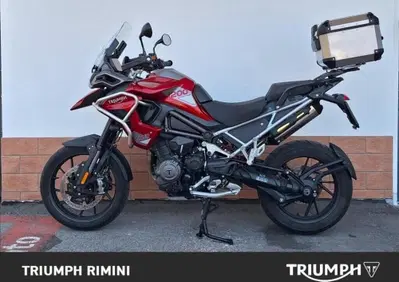 Triumph Tiger 1200 GT Pro (2024 - 26) - Annuncio 10057566