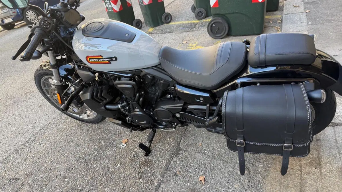 Harley-Davidson Nightster Special (2023 - 26)  (6)