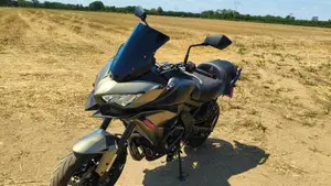 Kawasaki Versys 650 (2021 - 24)  (10)