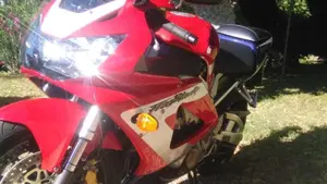Honda CBR 900 RR Fireblade (2000 - 01) 