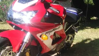 Honda CBR 900 RR Fireblade (2000 - 01) usata