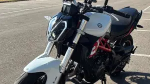 Benelli BN 302 S (2019 - 20)  (3)