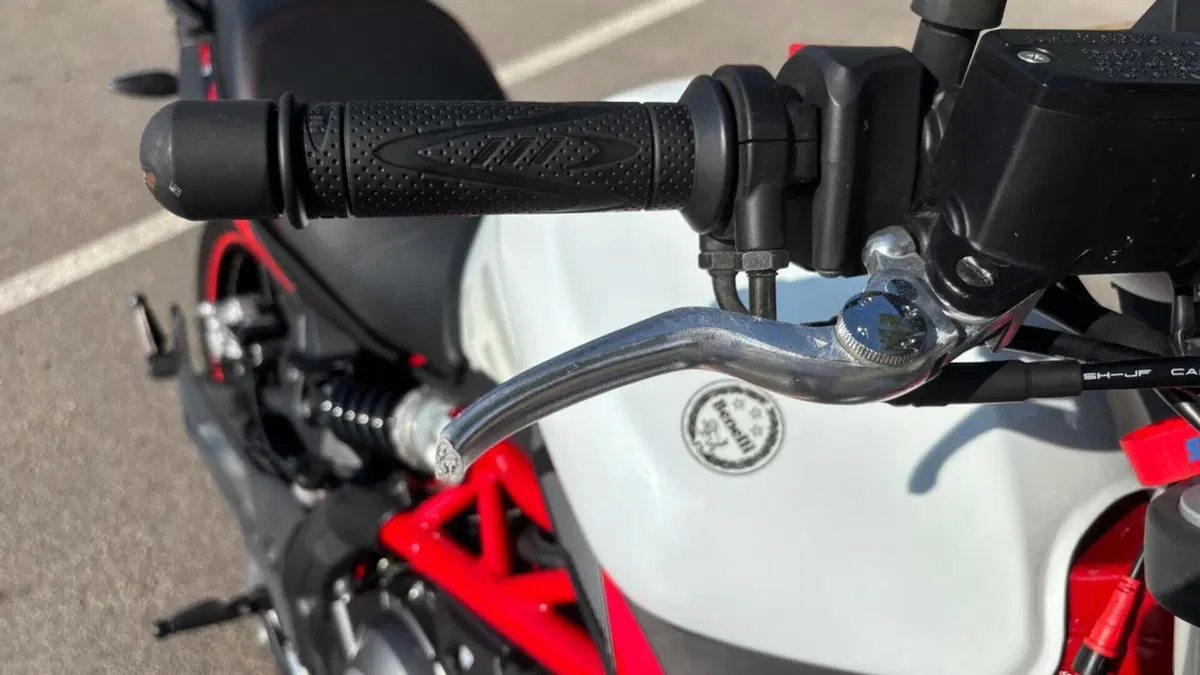 Benelli BN 302 S (2019 - 20)  (12)