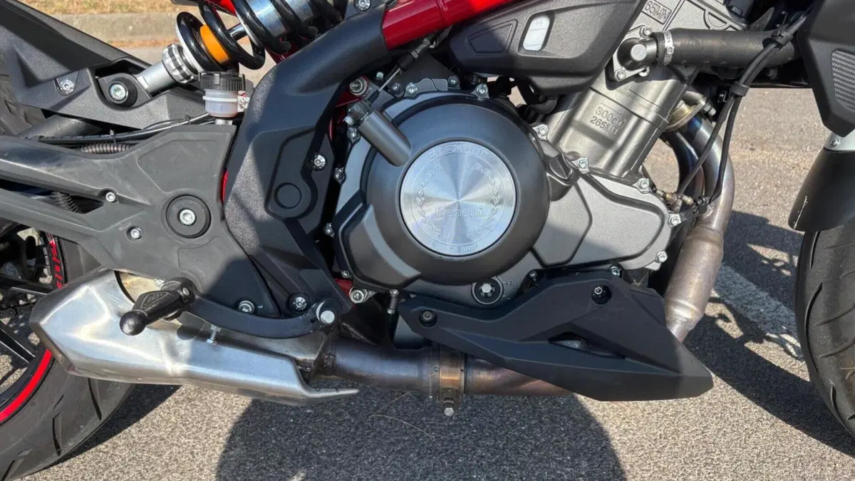 Benelli BN 302 S (2019 - 20)  (13)