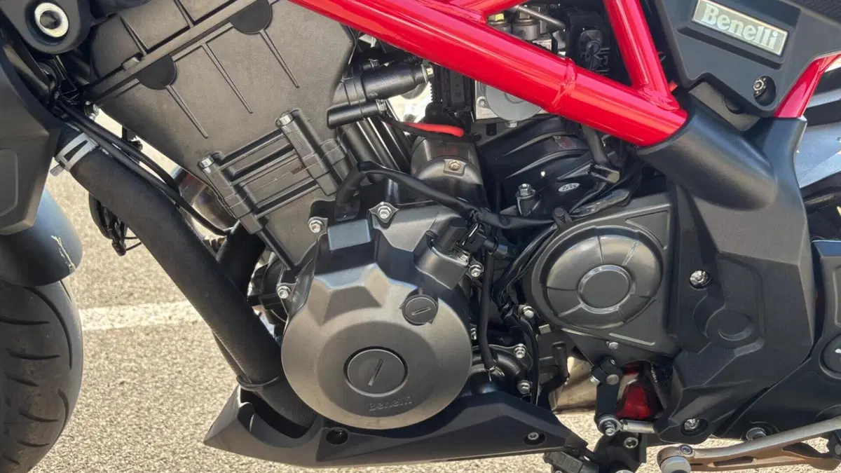 Benelli BN 302 S (2019 - 20)  (14)