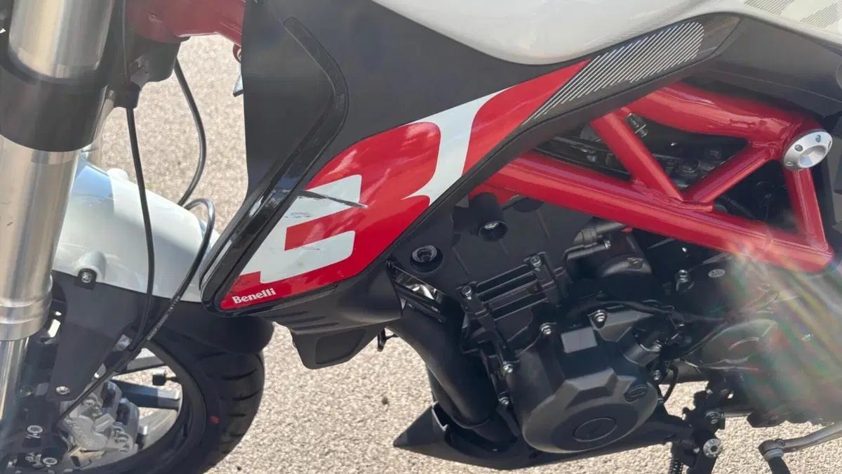 Benelli BN 302 S (2019 - 20)  (15)