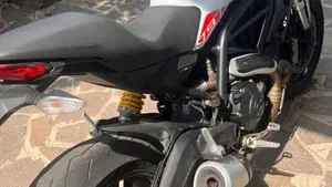 Ducati Monster 797 (2019 - 20)  (2)