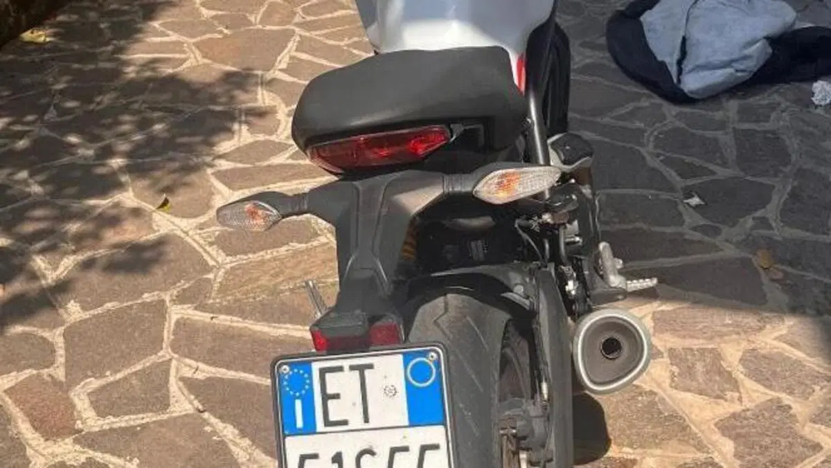 Ducati Monster 797 (2019 - 20)  (3)