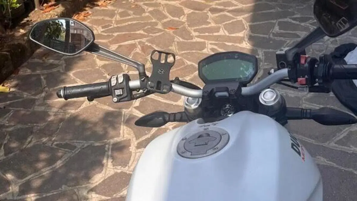 Ducati Monster 797 (2019 - 20)  (4)