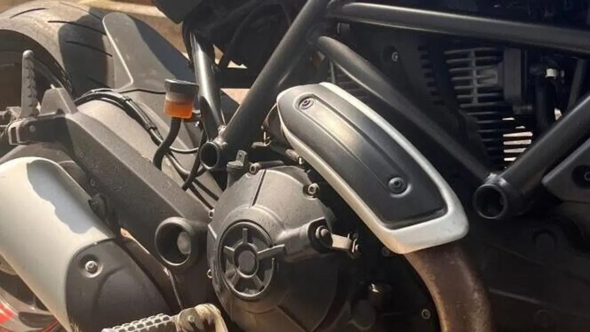 Ducati Monster 797 (2019 - 20)  (5)