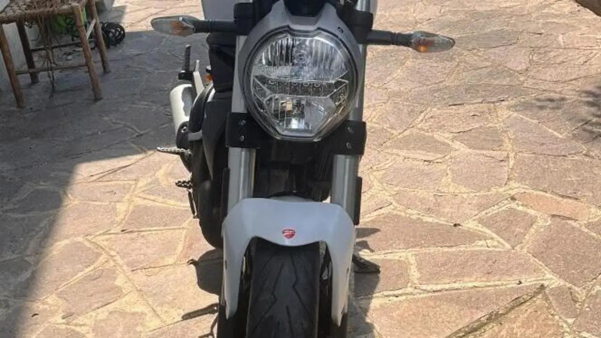 Ducati Monster 797 (2019 - 20)  (7)