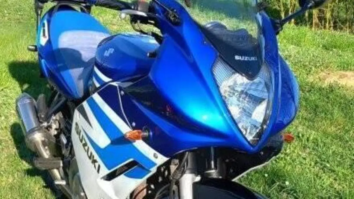 Suzuki GS 500 F (2004 - 06) 