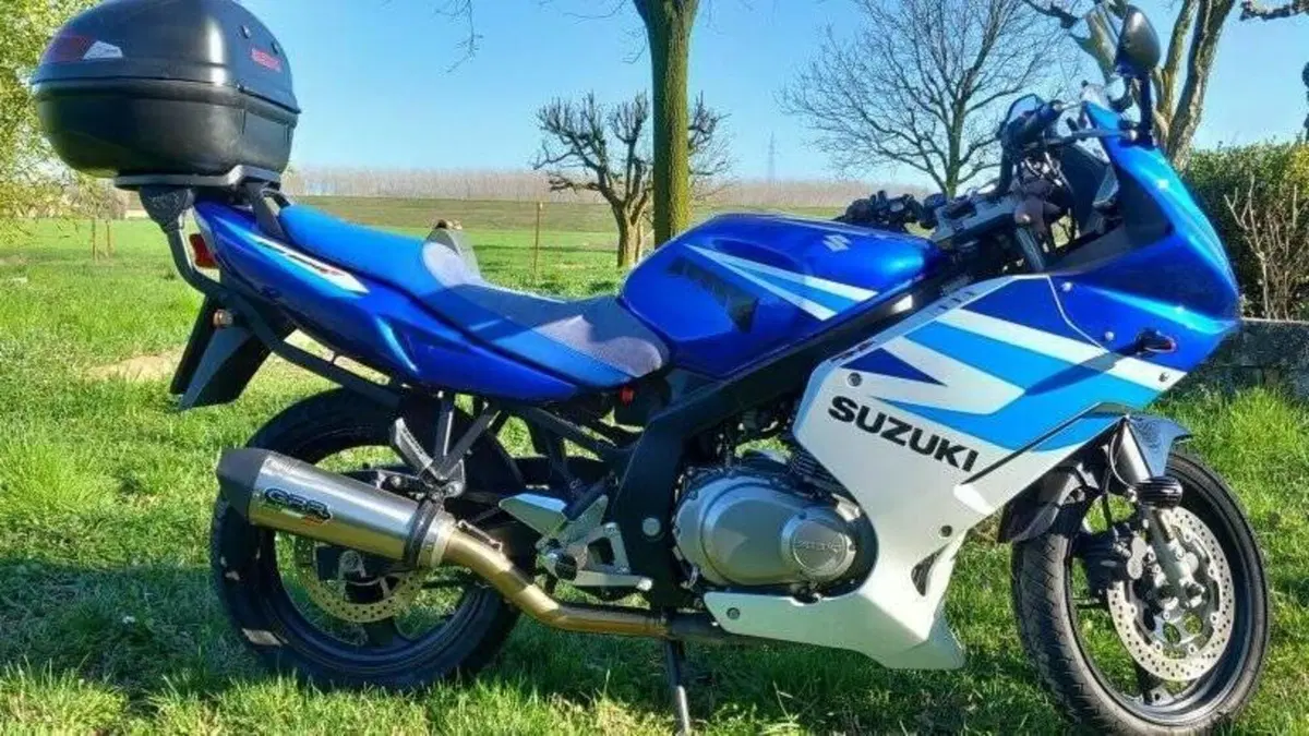 Suzuki GS 500 F (2004 - 06)  (2)