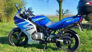 Suzuki GS 500 F (2004 - 06)  (3)