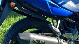 Suzuki GS 500 F (2004 - 06)  (4)