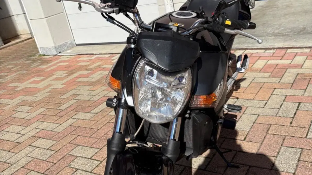 Suzuki GSR 600 (2006 - 11)  (10)