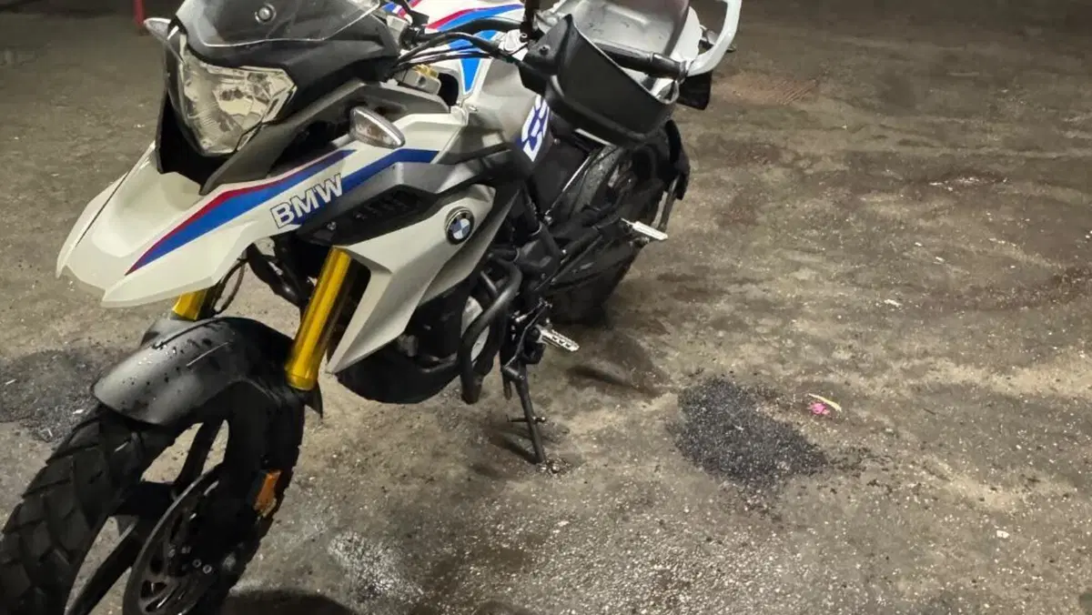 Bmw G 310 GS (2017 - 20)  (6)