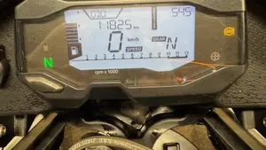 Bmw G 310 GS (2017 - 20)  (7)