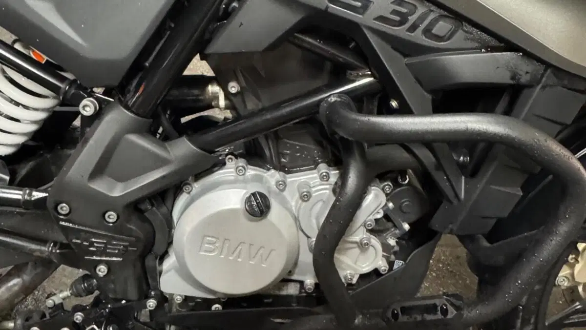 Bmw G 310 GS (2017 - 20)  (9)