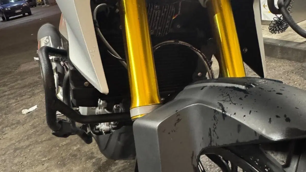 Bmw G 310 GS (2017 - 20)  (10)
