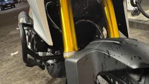 Bmw G 310 GS (2017 - 20)  (10)