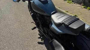 Harley-Davidson Sportster S (2022 - 24)  (3)