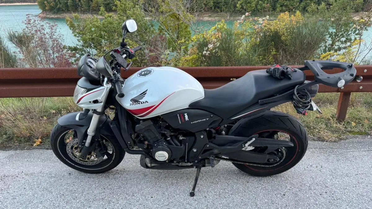 Honda Hornet 600 (2007 - 10)  (2)