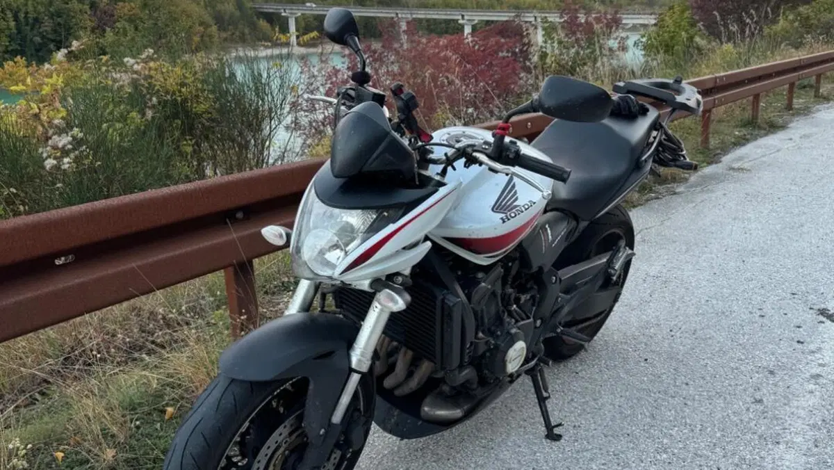 Honda Hornet 600 (2007 - 10)  (3)