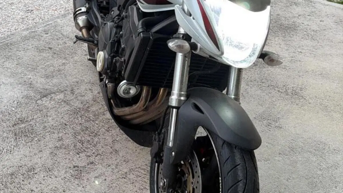 Honda Hornet 600 (2007 - 10)  (4)