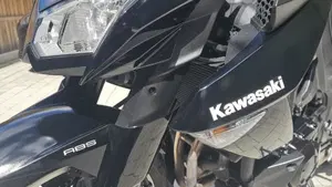 Kawasaki Z 1000 (2010 - 13)  (2)