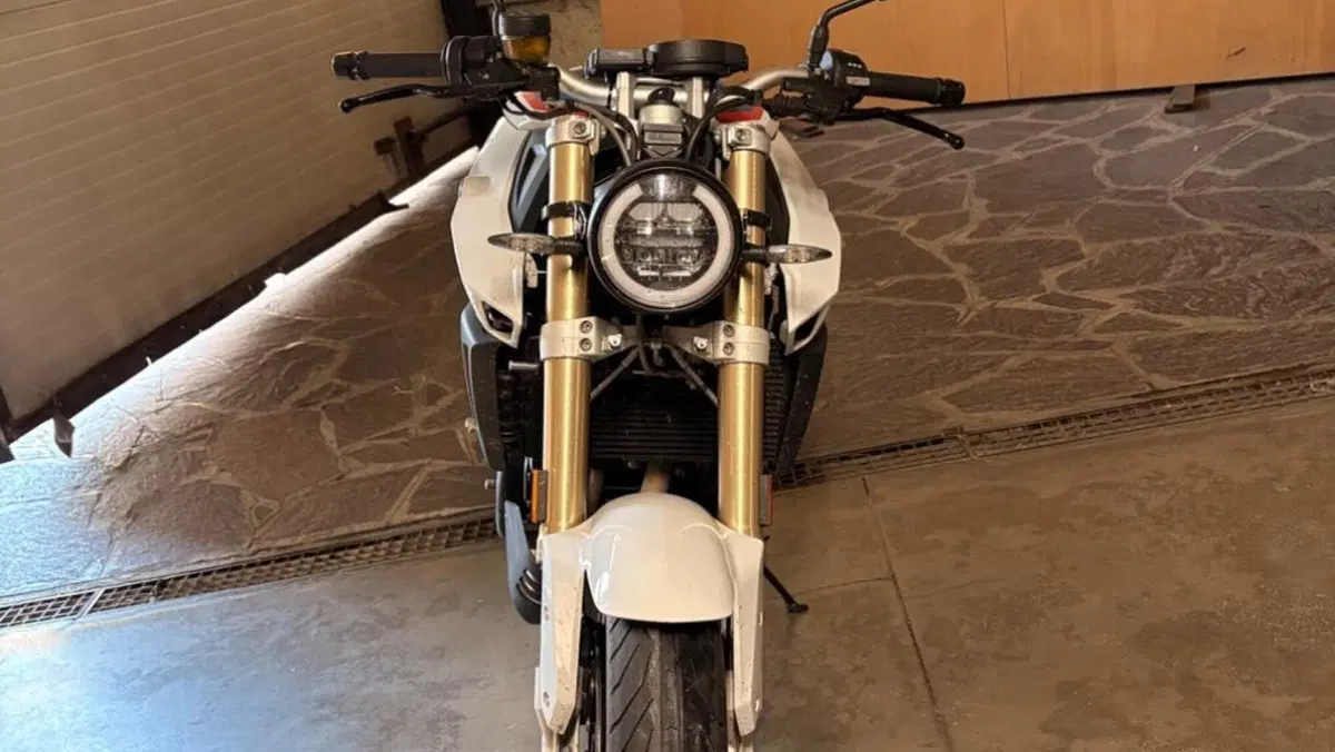 Bmw F 800 R (2017 - 20)  (2)